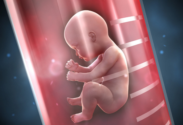 中山供卵试管助孕哪家机构好-生男生女的科学性--美国的试管婴儿有解决办法